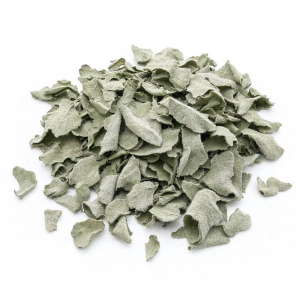 Mullein Leaf