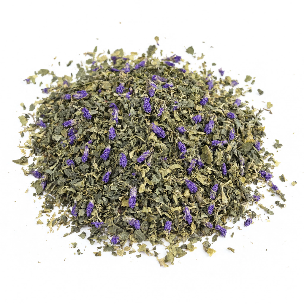 Vervain