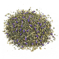 Vervain