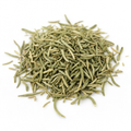 Rosemary