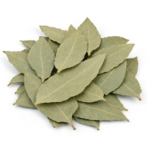 Bay Leaf