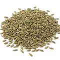 Fennel Seed