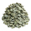 Eucalyptus Leaf