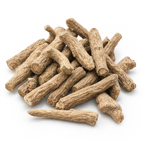Angelica Root