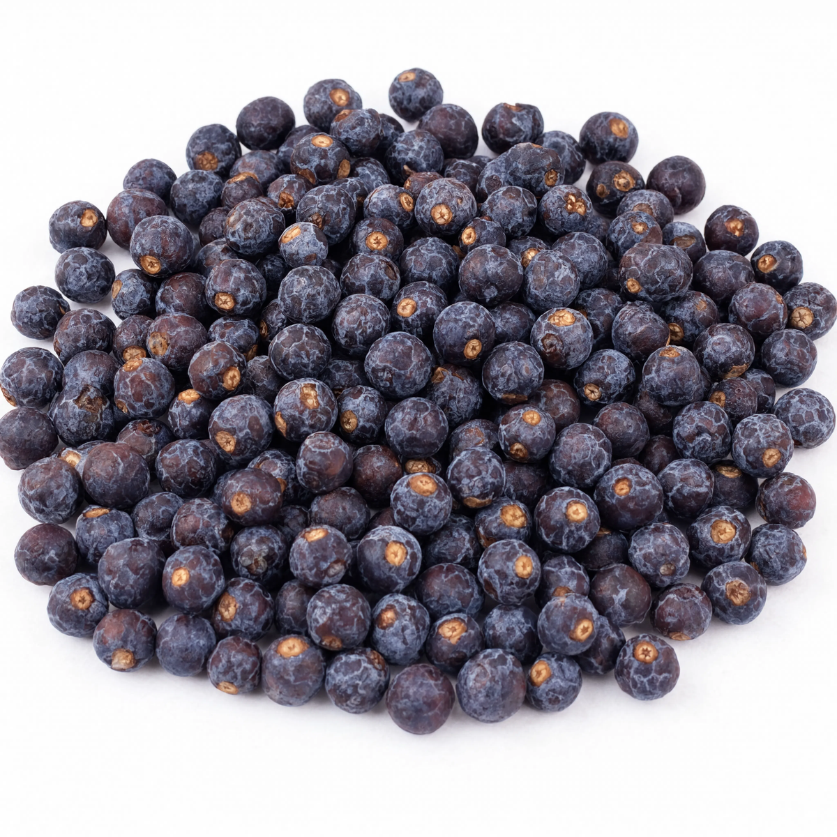 Juniper Berry