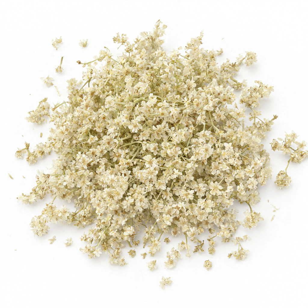 Elder Flower